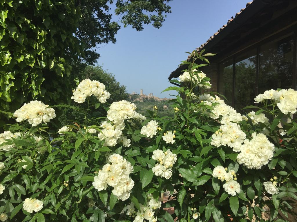 سان جيمينيانو Podere Sant'Elena المظهر الخارجي الصورة