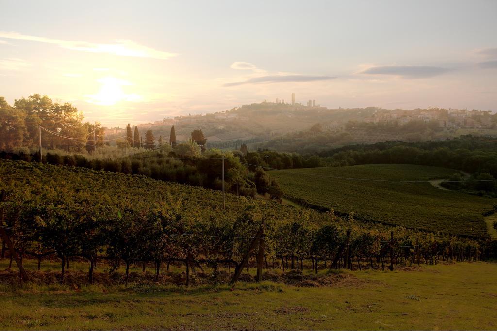 سان جيمينيانو Podere Sant'Elena المظهر الخارجي الصورة
