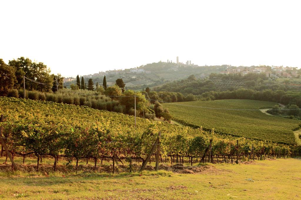 سان جيمينيانو Podere Sant'Elena المظهر الخارجي الصورة