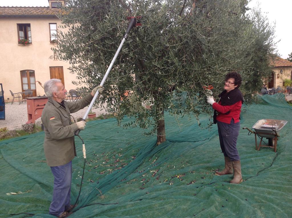 سان جيمينيانو Podere Sant'Elena المظهر الخارجي الصورة